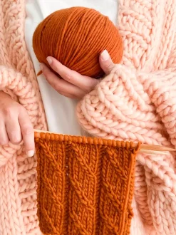 We Are Knitters Petite Wool Cinnamon| Bulky|Ool