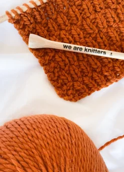 We Are Knitters The Squishy Yarn Cinnamon| Bulky|Merino